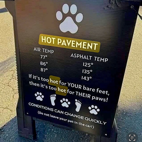 Other - ⚠️ WARNING:  🐾 HOT PAVEMENT 🐕☀️